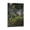 Frame-style, variant on Ivan Shishkin Print Painting Corner of Overgrown Garden. Goutweed-grass Wall Art Poster Gifts Bedroom Prints Home Decor Hanging Picture Canvas Painting Posters 12x18inch(30x45cm)
