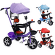thumbnail image 1 of Carriola Triciclo para Niños Shendy Vendy Capote Desplegable, 1 of 10