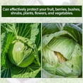 thumbnail image 5 of Garden Netting Kit for Raised Beds, Durable Ultra Fine Garden mesh Netting with 6 Set Fiberglass Garden Hoops, Bird Barrier Protection Net Vegetable Plant Cover Fruit Flowers Row Cover(10 * 39.4FT), 5 of 5