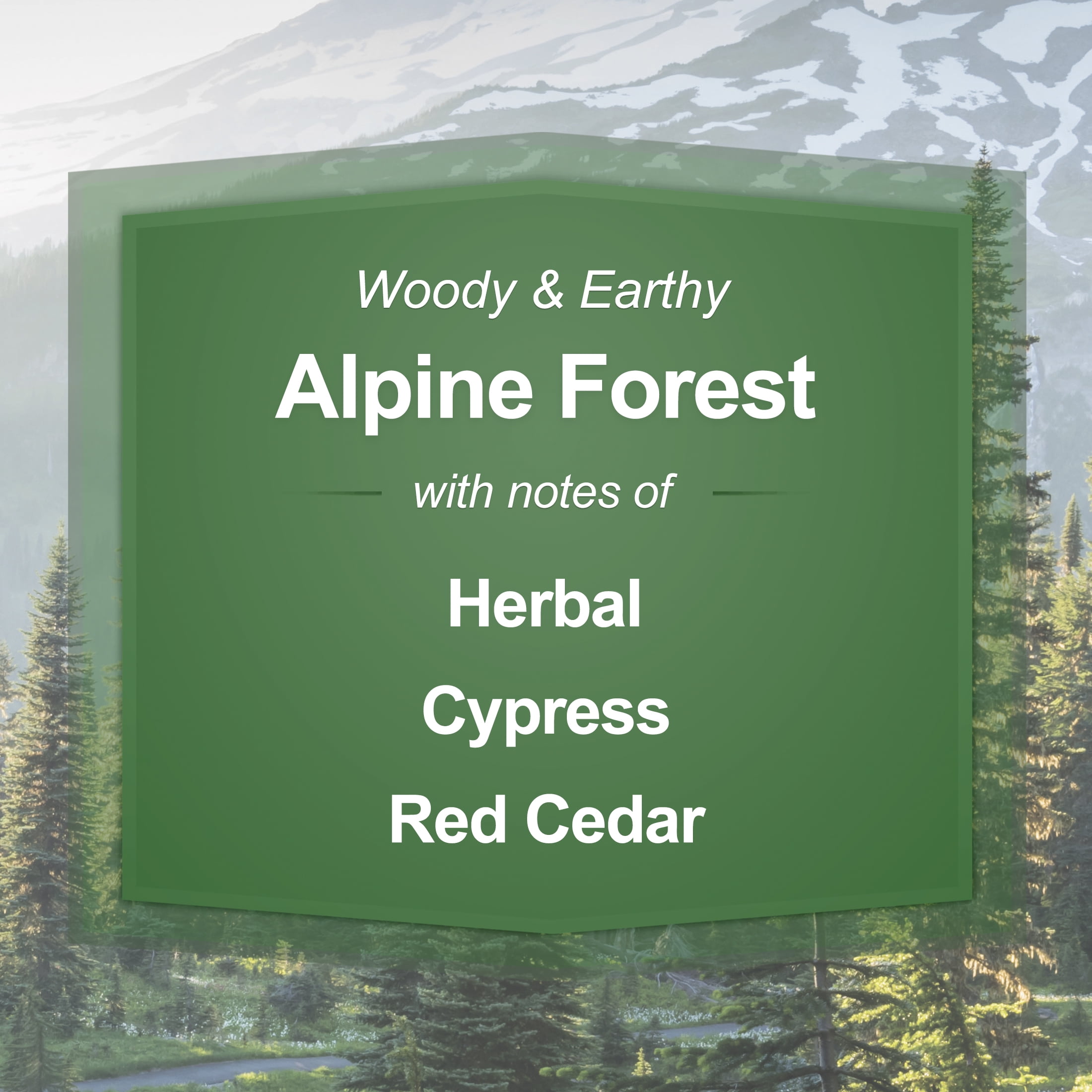 (2 pack) Mainstays Alpine Forest Single-Wick Scented Glass Jar Candle, 20 oz