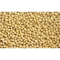 thumbnail image 4 of Hunza Organic Soybeans (2 lbs, Grown locally in the United States), 4 of 8