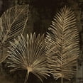 thumbnail image 3 of Jensen, Asia 20x20 Black Modern Framed Museum Art Print Titled - Golden Tropics I, 3 of 5
