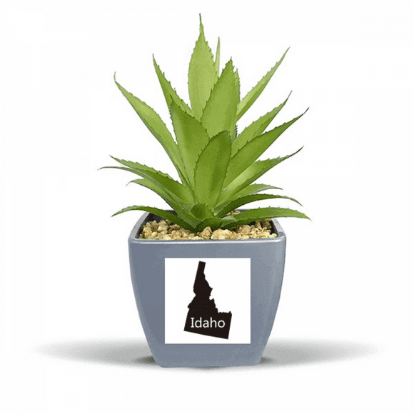 Idaho les États-Unis d'Amérique Carte Faux Ananas Fleur Pot Vase Mini Décor