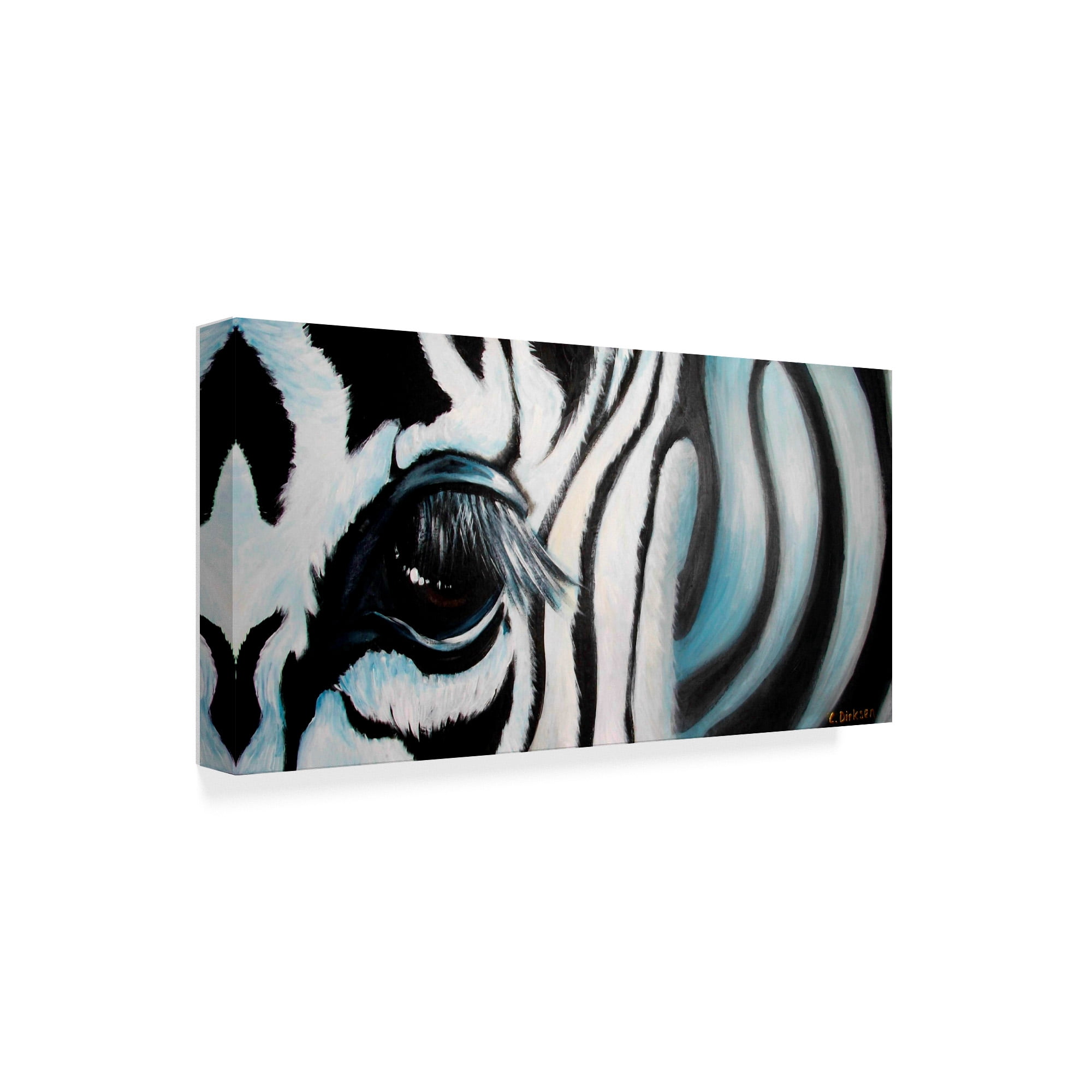 Trademark Fine Art 'Zebra Close Up' Canvas Art by Cherie Roe Dirksen