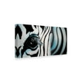 thumbnail image 2 of Trademark Fine Art 'Zebra Close Up' Canvas Art by Cherie Roe Dirksen, 2 of 3