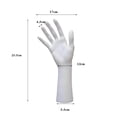 thumbnail image 2 of tredstone Mannequin Hand Jewelry Display Holder Support for Chain Hand Model Shop White, 2 of 9