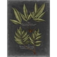 thumbnail image 3 of Vision Studio 15x18 Black Modern Framed Museum Art Print Titled - Foliage Dramatique IV, 3 of 5