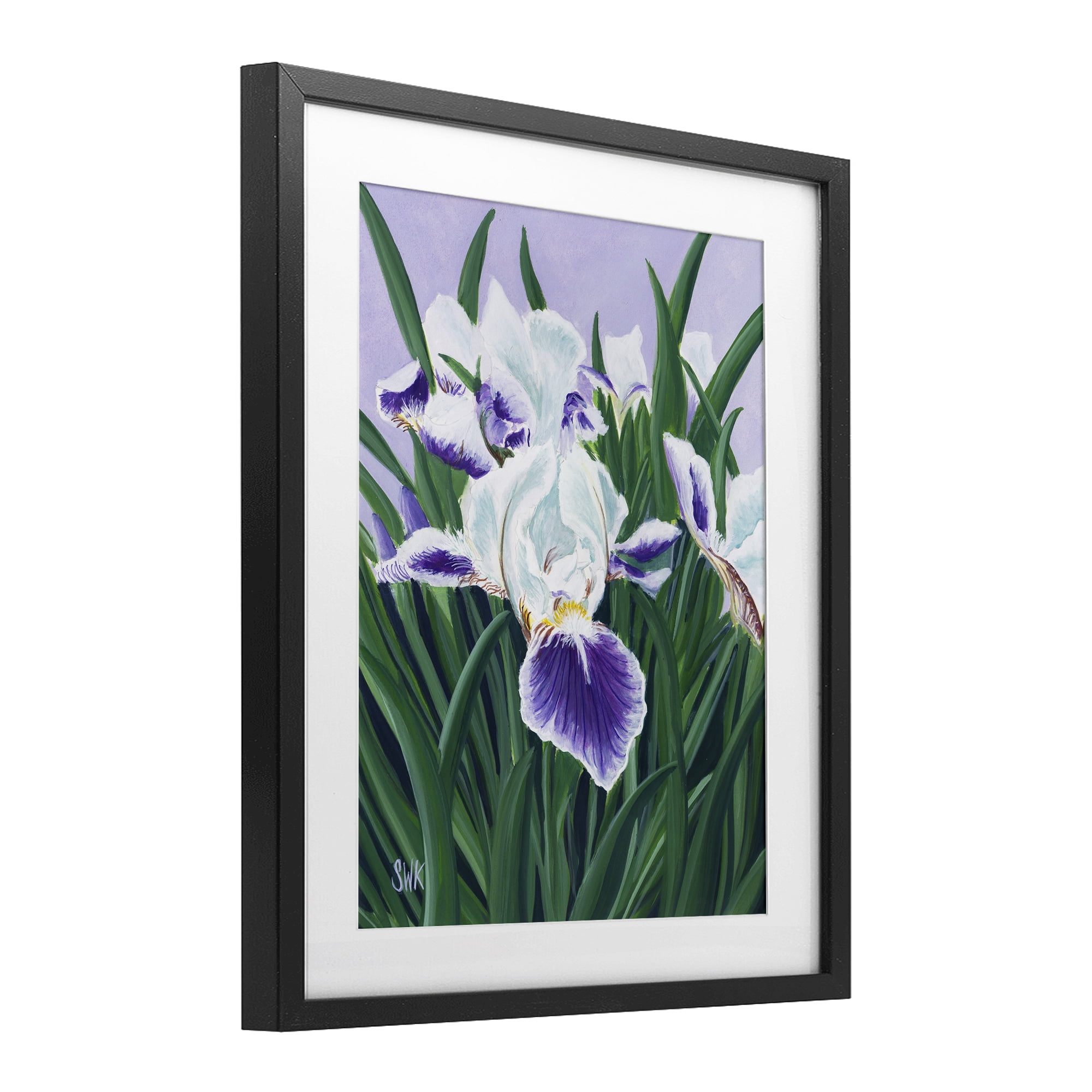 Stupell Industries Purple & White Irises Black Framed Print Under Glass, design by Sarah Waldron Kimball