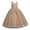 Beige, variant on MHZLDYZ Summer Dress for Girls 10-12 Flowers Little Girls Tulle Lace Wedding Party Dress for Kids formal Birthday Princess Pageant Prom Maxi Gown Teen Dress Girls Flower Girl Dress(Purple,150)
