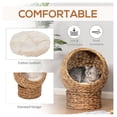 thumbnail image 5 of Elevated Cat Bed, Banana Leaf Basket with Cushion - Natural Water Hyacinth Cat Lounger, Brown - Indoor/Outdoor Cat Furniture for Small Pets, 5 of 9
