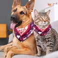 thumbnail image 4 of Valentine's Day Translucent Light Chiffon Yarn Pet Collars, Pack of Two - Breathable and Stylish - Sizes 40.6x40.6x58in and 53.3x53.3x76.2in, 4 of 5