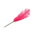 thumbnail image 2 of Ovzne Quill Wedding Supplies Creative Color Pen - 15.7X4.7In Stainless Steel Sign In Pen With Ostrich Feathers, Available In Pink, Orange, Hot Pink, White, 2 of 6