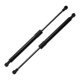 thumbnail image 1 of Soportes de elevación únicos Bargains para BMW E46 323i 325i 328i 330i M3 No.51248254281 Resorte de gas trasero negro 2PCS, 1 of 7