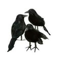 thumbnail image 1 of 3 Pcs Décoration d'Halloween Plumes Noires Réalistes Oiseaux, 1 of 7