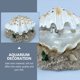 thumbnail image 1 of unbranded 1Ud De Concha Para Acuario En Resina Con De, 1 of 8