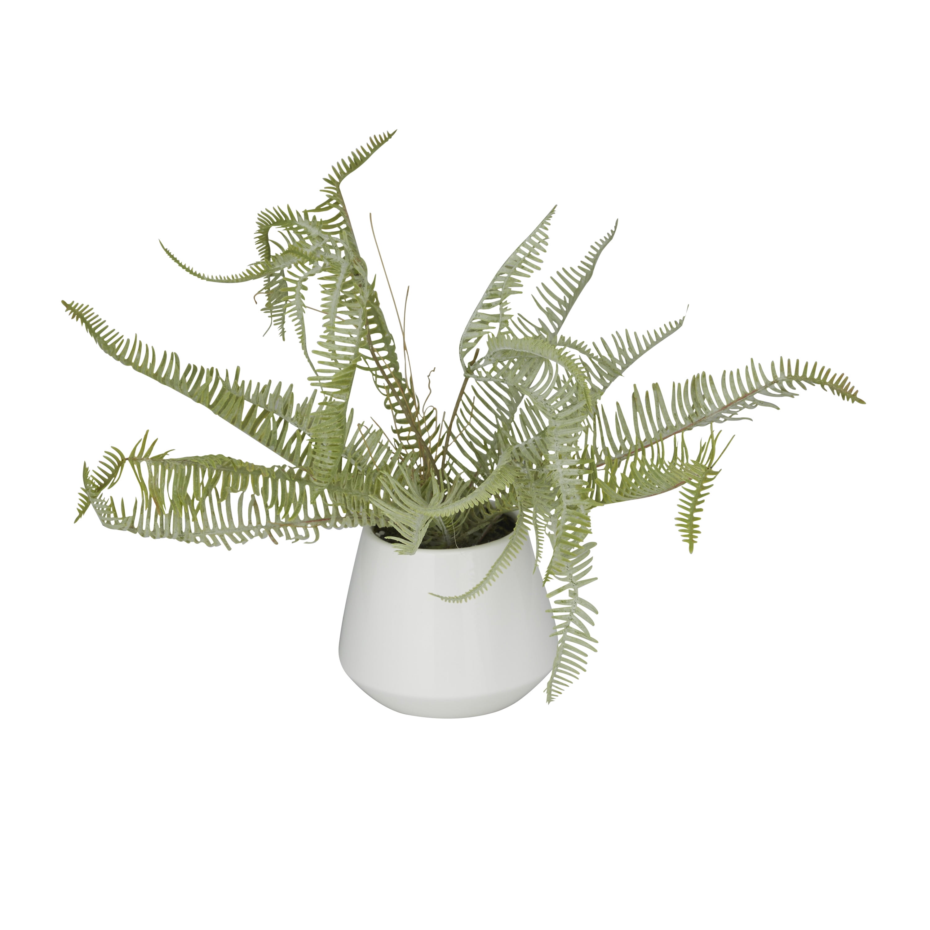 DecMode 14" Artificial Fern Plant in Realistic Leaves and White Ceramic Pot