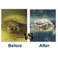 thumbnail image 4 of Small Water Filter For Turtle Tank 3w For Water Level 2.5-10cm 200lh Flow Rate, 4 of 5