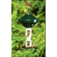 thumbnail image 1 of Vari-Crafts Mixed Seed Feeder 3 Gal with Cage and Pole, 1 of 2