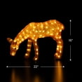thumbnail image 6 of Northlight LED Lighted Commercial Grade Acrylic Feeding Reindeer Outdoor Christmas Decoration - 22", 6 of 9