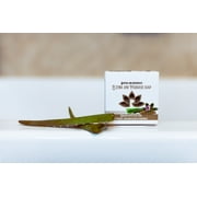 Eczema and Psoriasis Soap Bar Natural Cold Process Soap Handmade in USA Natural and Safe by Relaxcation