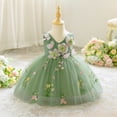 thumbnail image 2 of FINALGANG Girls Kids Floral Embroidered Tulle Dress Sleeveless V Neck 3D Flower Decor Flared Skirt Princess Party Dress For Daily Wear Green 3-6 Months, 2 of 6