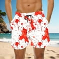 thumbnail image 2 of Riecok Mens Swim Trunks Summer Elastic Waist Drawstring Shorts Hawaiian Print Beach Vacation Clothes with Pocket, 2 of 5
