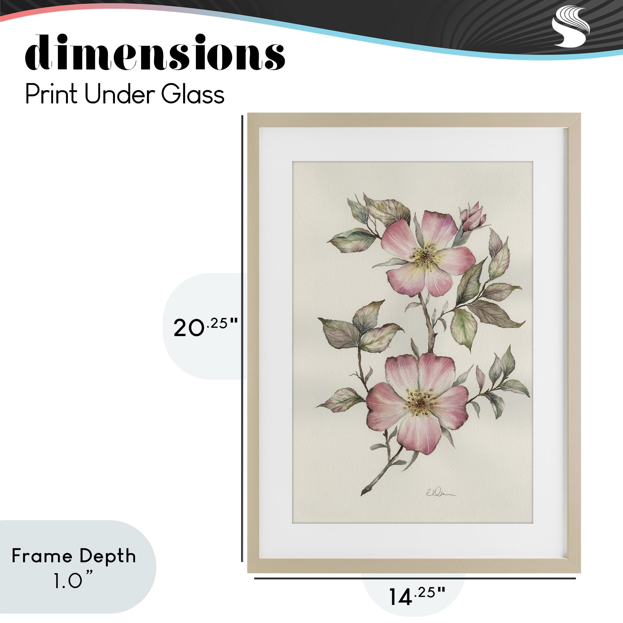 Stupell Industries Two Flowers Natural Study Birch Framed Print Under Glass, design by Cady Driver