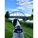 thumbnail image 5 of Arnés para perros ShawnCo Essential, chaleco reflectante para mascotas, talla XL, 5 of 5