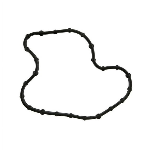 Engine Oil Filter Adapter Seal