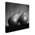 thumbnail image 3 of Trademark Fine Art "Coqueteo Peras" Canvas Art by Moises Levy, 3 of 4