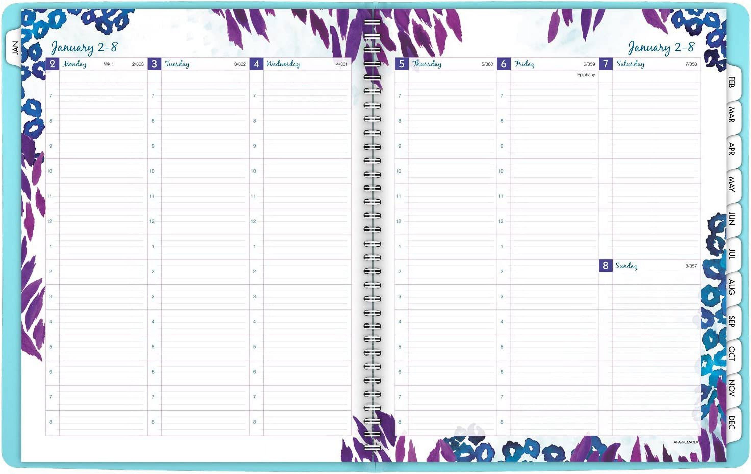 AT-A-GLANCE Weekly / Monthly Planner / Appointment Book 2017, 8-1/2 x 11", Professional, Wild Washes (523-905) Large 2017