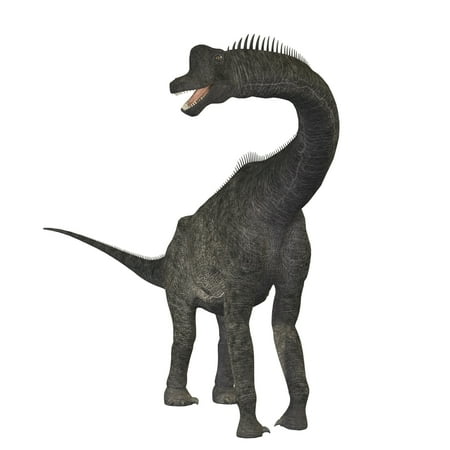 Brachiosaurus Poster - Brachiosaurus dinosaur Poster Print