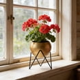 thumbnail image 5 of MMJ Metal Planter with Stand Decorative Floor Flower Pot Iron Drainage Holes 7.68x5.71in for Living Room, 5 of 6