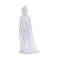 thumbnail image 1 of Capa con capucha de Halloween Capa de terciopelo Unisex Niños Niños Capa larga Vestido de lujo Disfr Tomshoo Blanco/S, 1 of 7