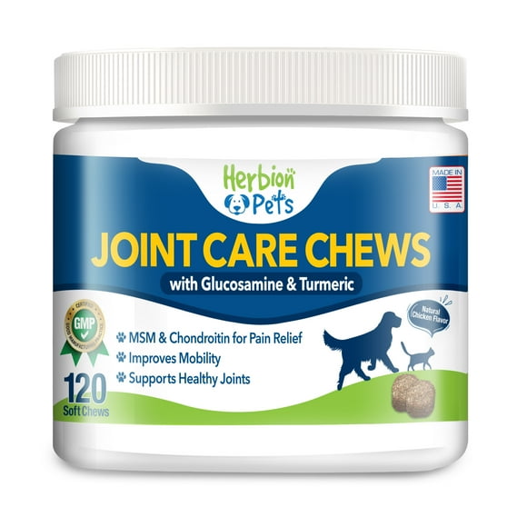 Glucosamine Chondroitin Msm Dogs