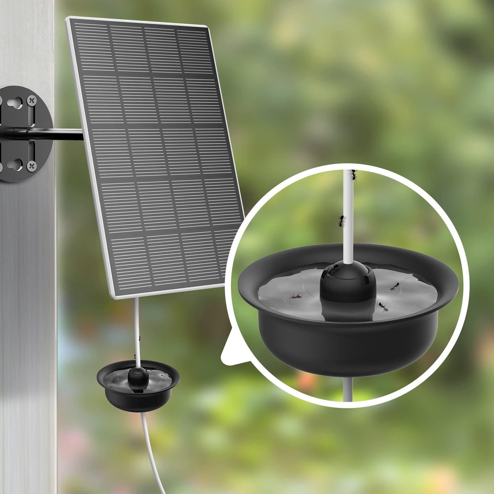 Hummingbird Feeders Ant Prevention Devices Ant Pool Pest Traps