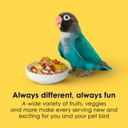Kaytee Fiesta Big Bites Small Parrot & Conure Food 4 Pounds