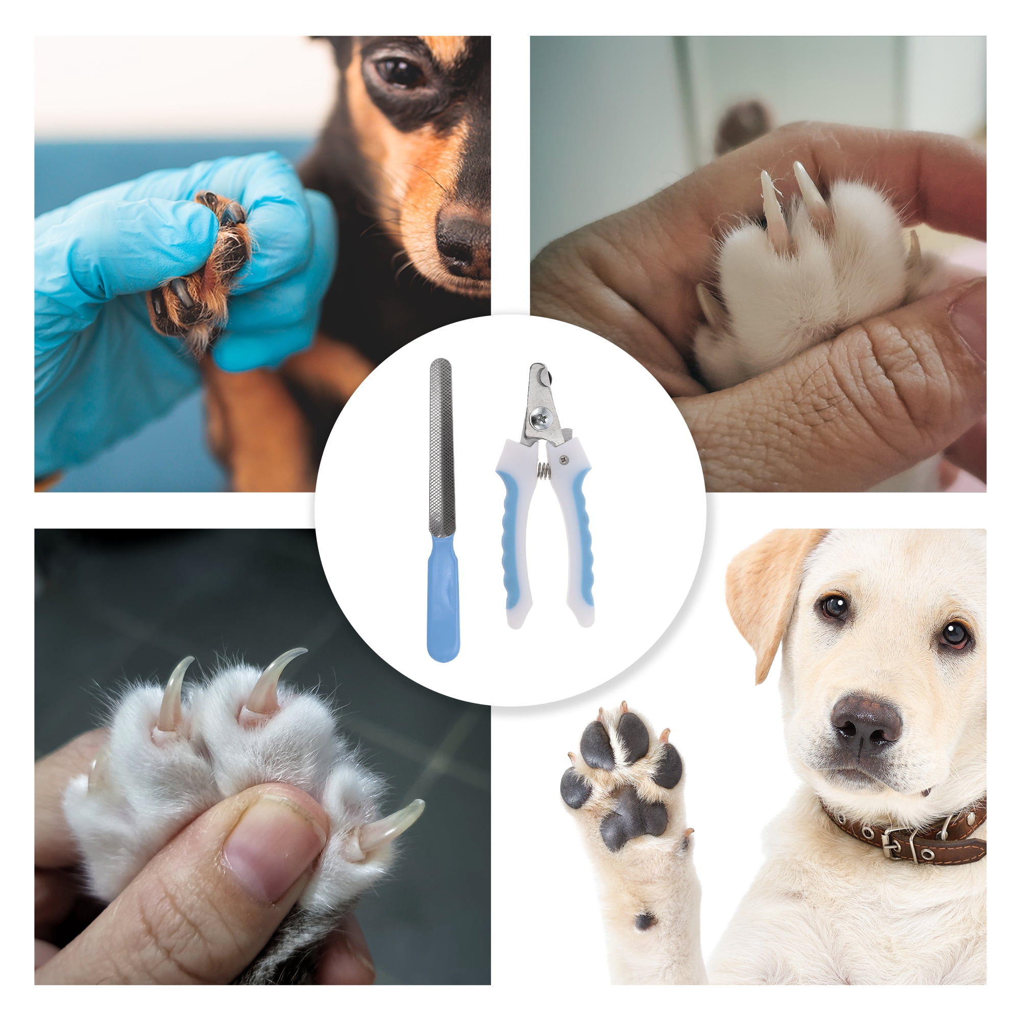 Unique Bargains Pet Nail Clippers with File for Dog for Cat 1 Set Blue White 4.72"x2.76"