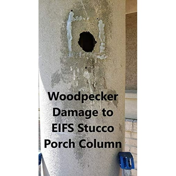 EIFS Stucco Woodpecker Damage Repair Kit