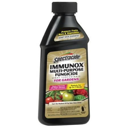 Immunox Multi-Purpose Fungicide Spray Concentrate For Gardens 16 by (Best Fungicide For Peppers)
