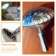 thumbnail image 2 of BRIGHTFUFU Cabeza de rociador de agua Herramienta de riego simple Supulzo de riego de boquilla de riego, 2 of 8