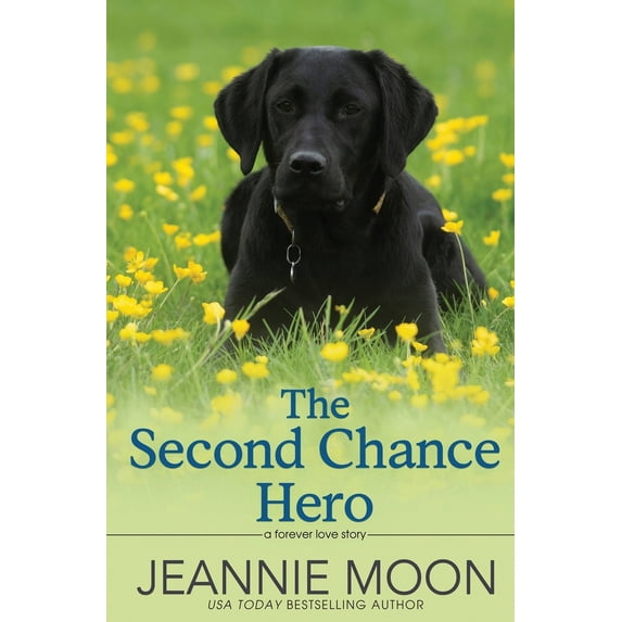 Pre-Owned The Second Chance Hero, (Paperback)