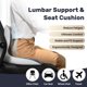 thumbnail image 3 of Funda para cojín de asiento de coche Coverado con espuma viscoelástica y soporte lumbar, 3 of 9