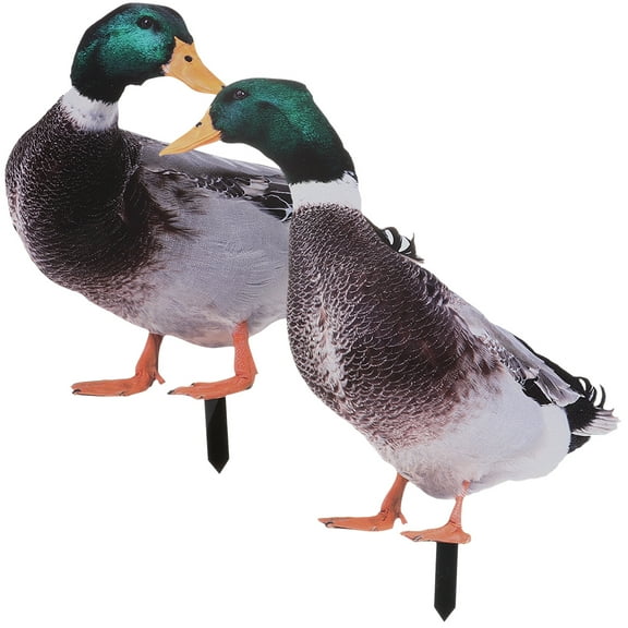 2 Pcs Large Duck Garden Decoration Pond Outdoor Statues Backyard