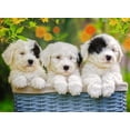 thumbnail image 2 of Ravensburger Rompecabezas: Perritos Kids XXL 200 piezas blanco Estándar, 2 of 2