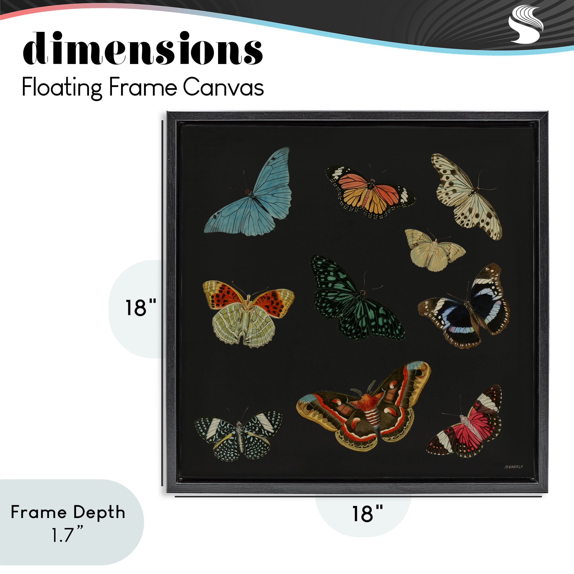 Stupell Industries Insects Group on Black Black Framed Floater Canvas Wall Art, design by Dan Meneely