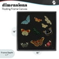 thumbnail image 4 of Stupell Industries Eclectic Insects Group on Black Black Floating Frame Canvas Art, 18 x 18, by Dan Meneely, 4 of 8