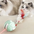 thumbnail image 4 of Tail Equipped Automatic Intelligent Roller Indoor Interactive Motion Sensing For Cats Rechargeable And Design To Boredom For And Puppies Interactive Dog for Large Dogs Outdoor Planet Dog Carrot Dog, 4 of 6