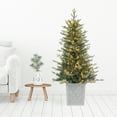 thumbnail image 3 of Haute Decor 4.5 Foot Pre-Lit Barcelona Blue Spruce Potted Tree, 3 of 4