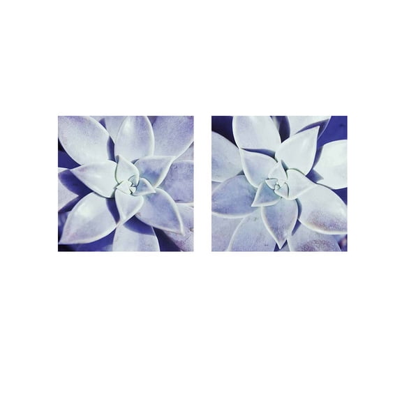 Great Art Now Ultra Violet by Jason Johnson 2 Piece Print Art Set Each 12W x 12H